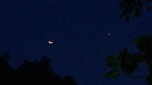 22196_625479220886562_8626927992675401571_n